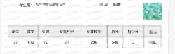 教学成果
