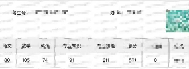 教学成果